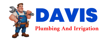 Trusted plumber in LEIPSIC